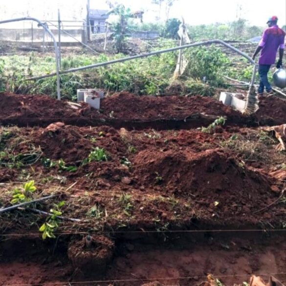 Enitan-Bello-Twitter-Quote (2)